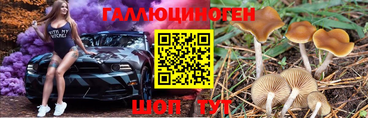 Псилоцибиновые грибы мицелий  купить  сайты  Южно-Сахалинск  Псилоцибиновые грибы Psilocybe  Вход с VPN 